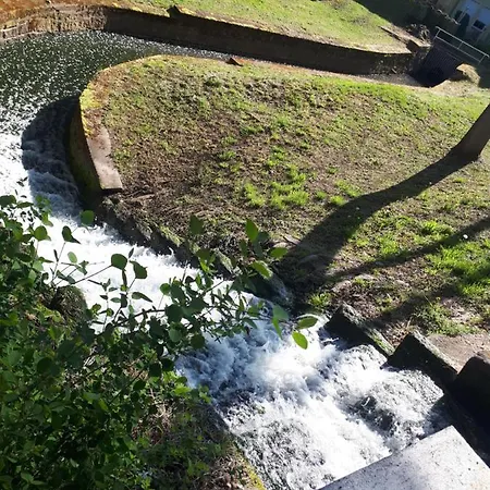 Strauss Nahe Der Kyffhaeuser Therme