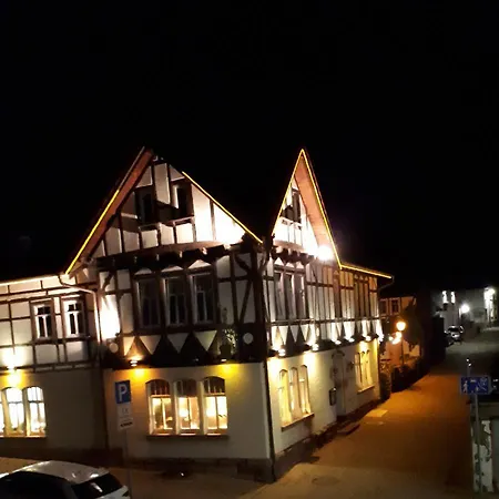 Strauss Nahe Der Kyffhaeuser Therme * 巴特弗兰肯豪森