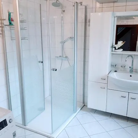 Strauss Nahe Der Kyffhaeuser Therme 巴特弗兰肯豪森