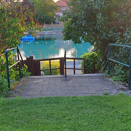 Strauss Nahe Der Kyffhaeuser Therme Feriehus Bad Frankenhausen