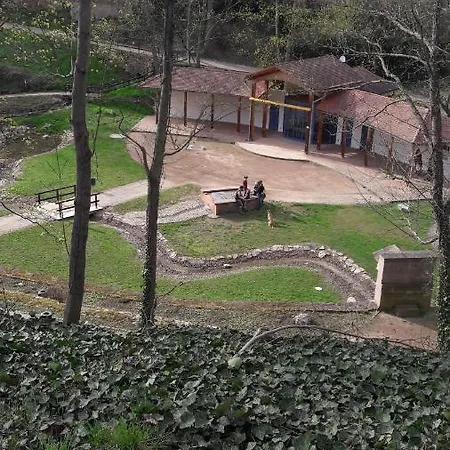 Strauss Nahe Der Kyffhaeuser Therme * Bad Frankenhausen