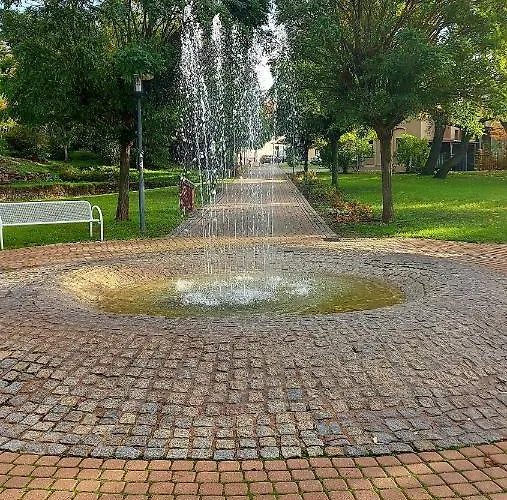 Strauss Nahe Der Kyffhaeuser Therme Bad Frankenhausen