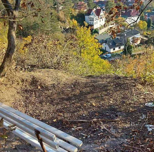Strauss Nahe Der Kyffhaeuser Therme Hébergement de vacances