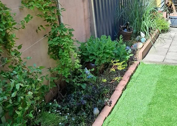 Strauss Nahe Der Kyffhaeuser Therme *